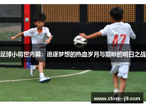 足球小将世青篇:追逐梦想的热血岁月与期盼的明日之战 足球小将世青篇:追逐梦想的热血岁月与期盼的明日之战