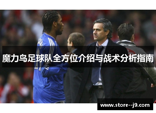 魔力鸟足球队全方位介绍与战术分析指南