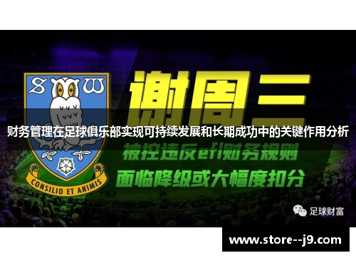 财务管理在足球俱乐部实现可持续发展和长期成功中的关键作用分析 财务管理在足球俱乐部实现可持续发展和长期成功中的关键作用分析