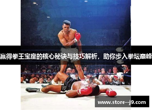 赢得拳王宝座的核心秘诀与技巧解析，助你步入拳坛巅峰