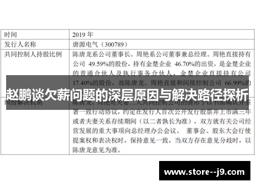 赵鹏谈欠薪问题的深层原因与解决路径探析 赵鹏谈欠薪问题的深层原因与解决路径探析