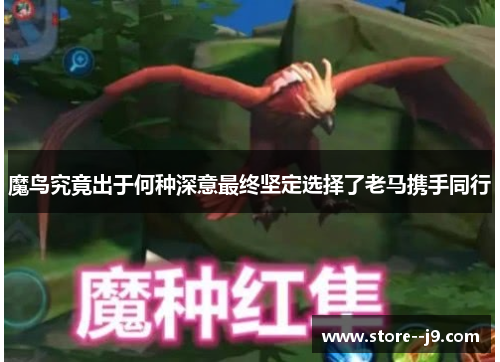 魔鸟究竟出于何种深意最终坚定选择了老马携手同行