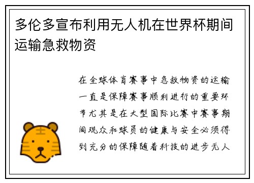 多伦多宣布利用无人机在世界杯期间运输急救物资
